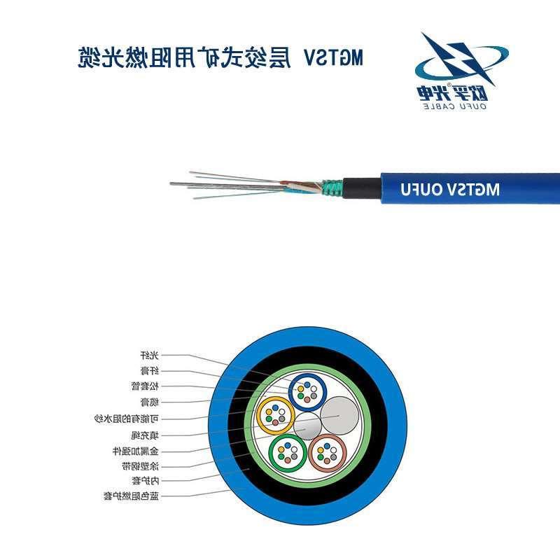 滨海新区MGTSV光缆